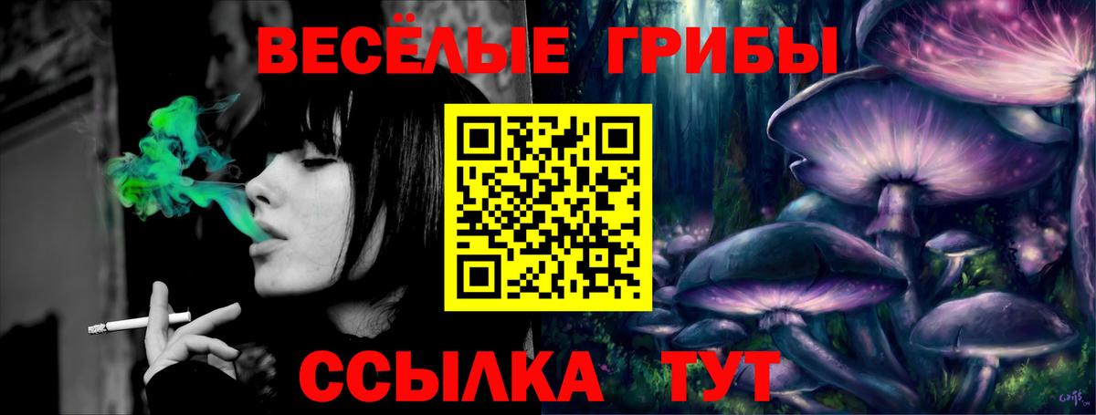Псилоцибиновые грибы Psilocybine cubensis Алейск